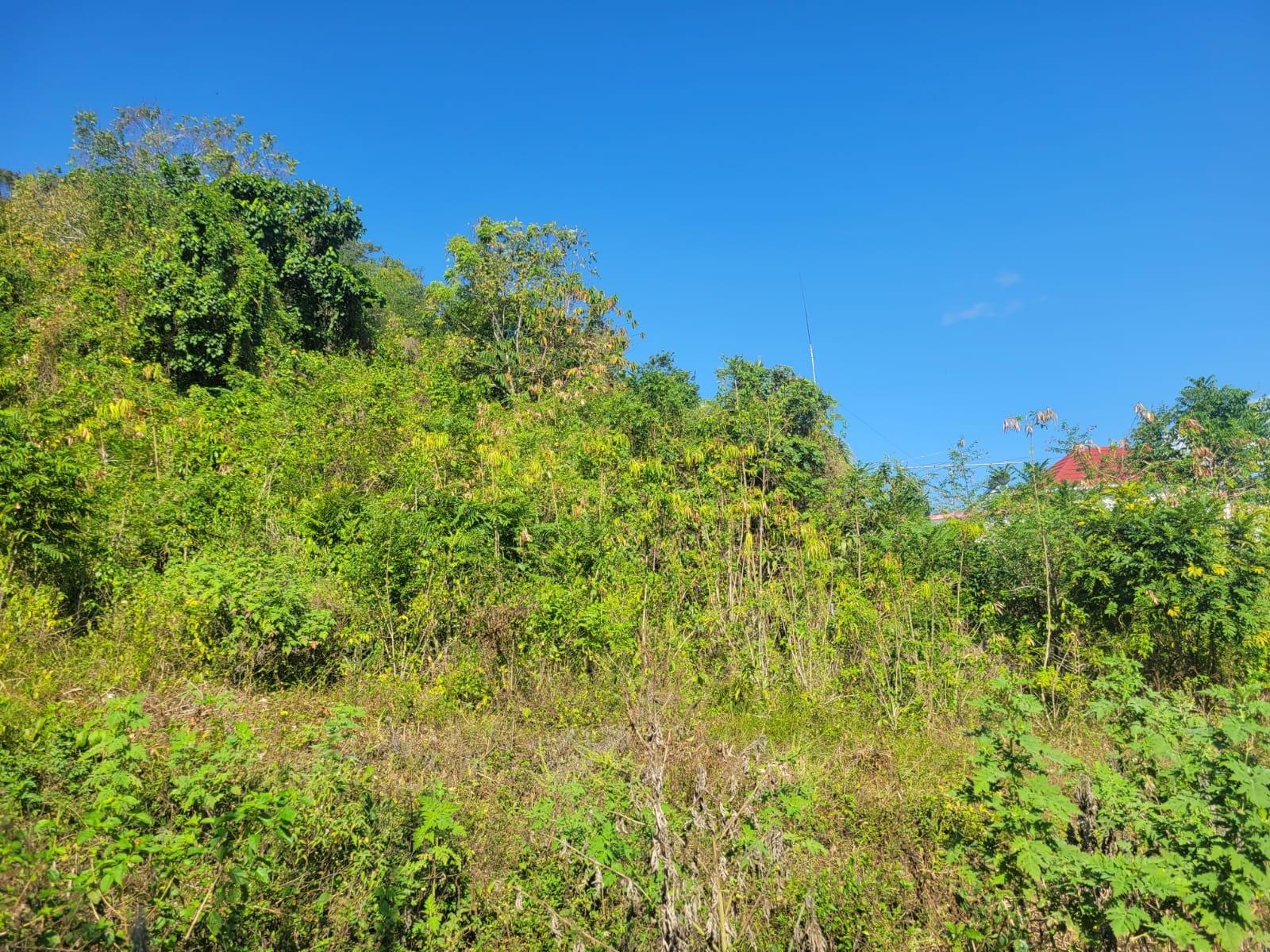 Fourth image of 534- Retirement in Retirement Estate, St. James, Jamaica - property is For Sale