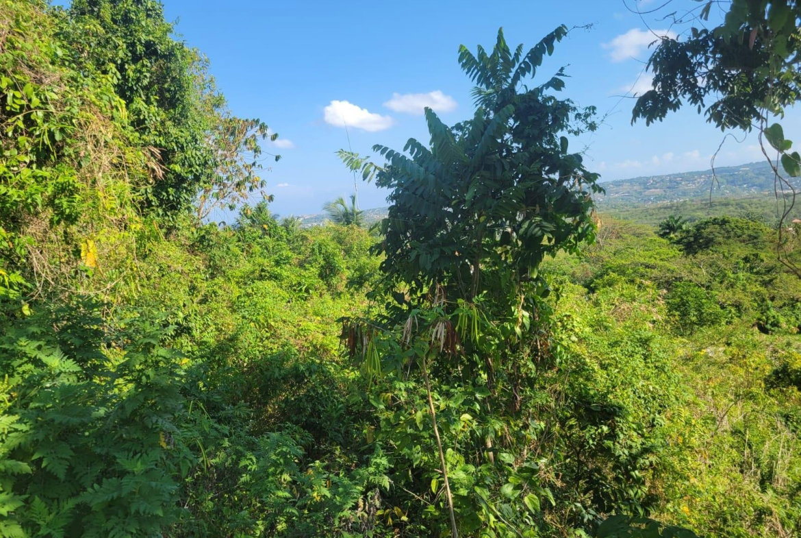 Sixth image of 534- Retirement in Retirement Estate, St. James, Jamaica - property is For Sale