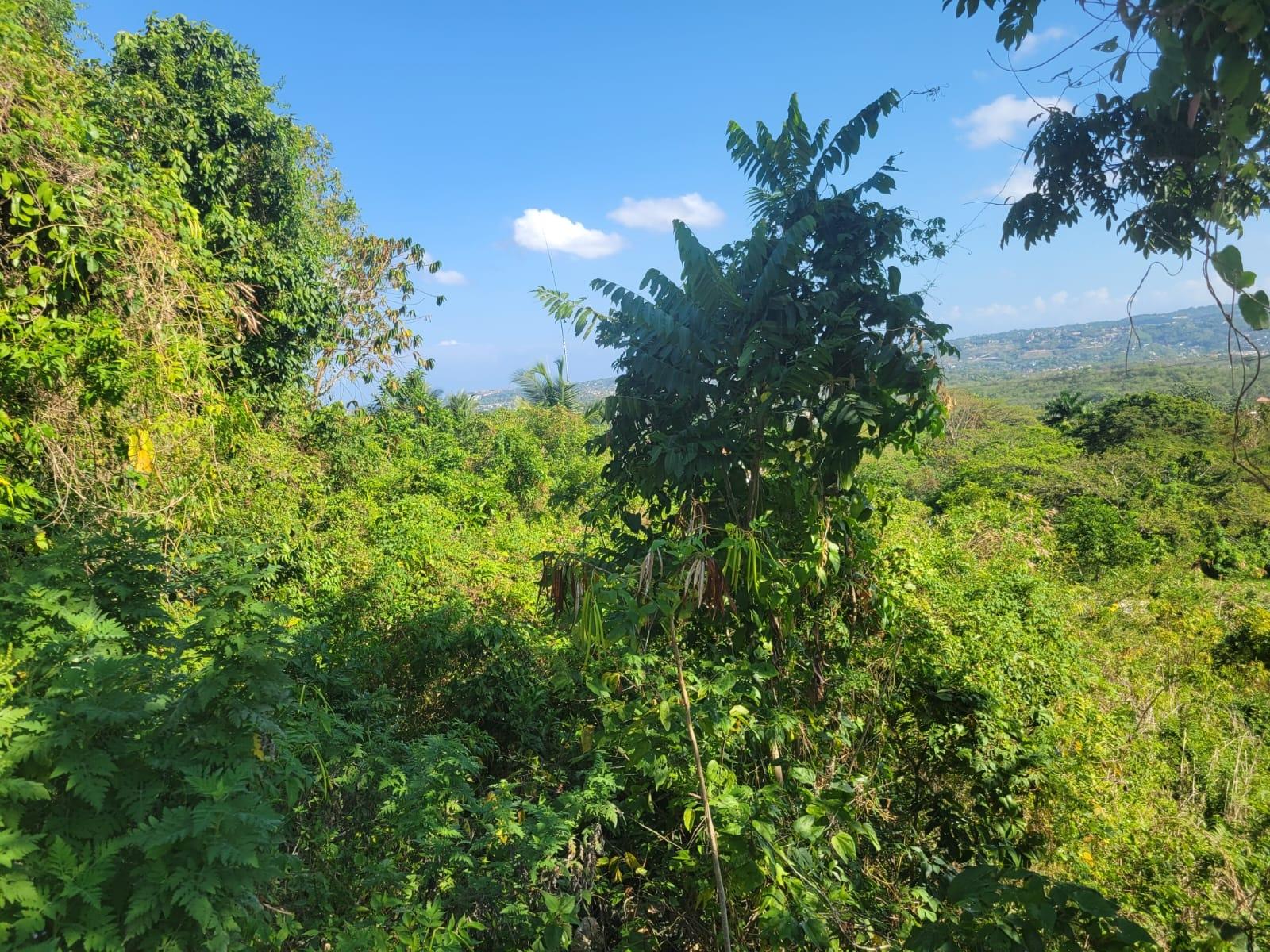 Sixth image of 534- Retirement in Retirement Estate, St. James, Jamaica - property is For Sale