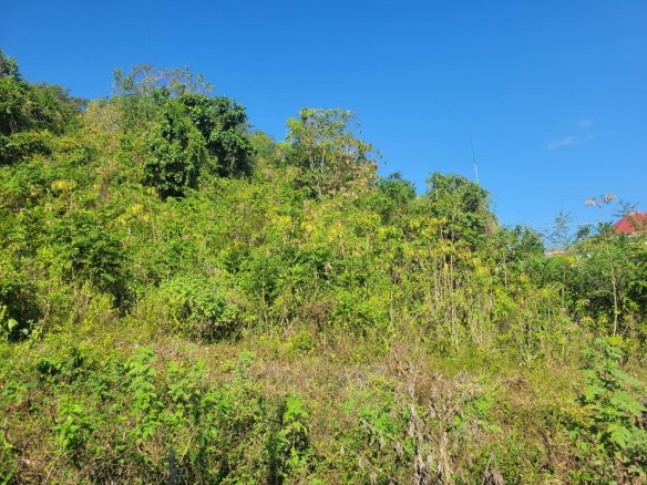 First image of 534- Retirement in Retirement Estate, St. James, Jamaica - property is For Sale
