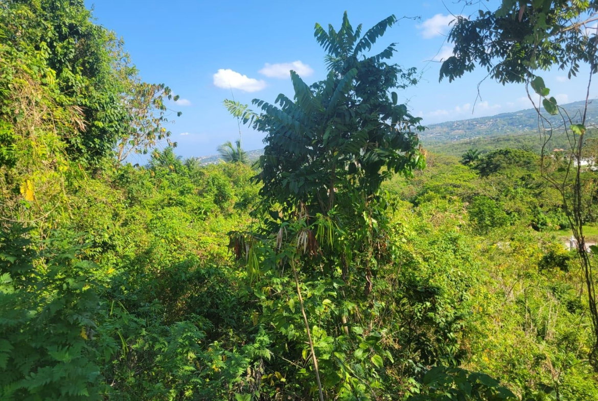 Seventh image of 534- Retirement in Retirement Estate, St. James, Jamaica - property is For Sale