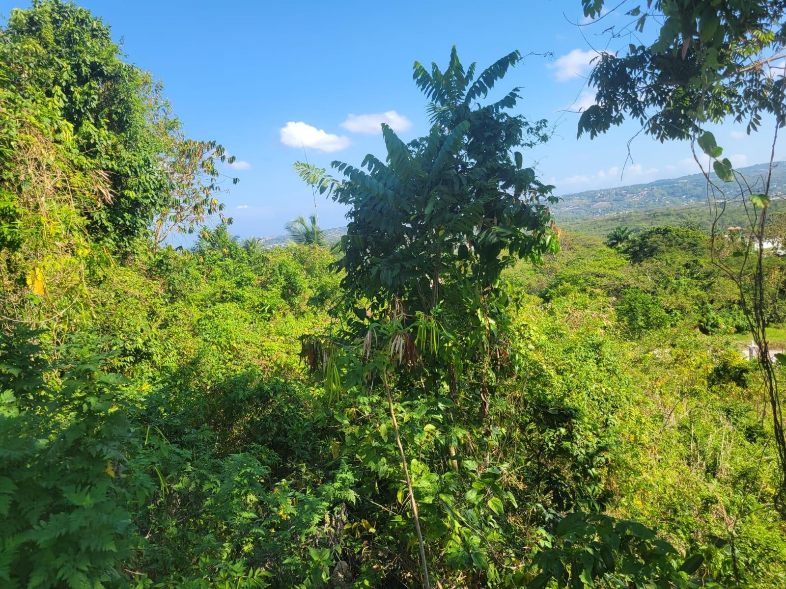 Seventh image of 534- Retirement in Retirement Estate, St. James, Jamaica - property is For Sale