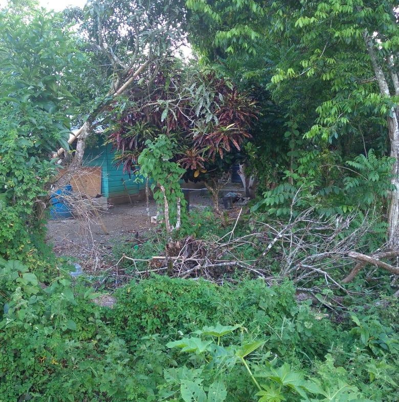 Fifth image of Lot-50 Danvers Pen in Danvers Pen, St. Thomas, Jamaica - property is For Sale