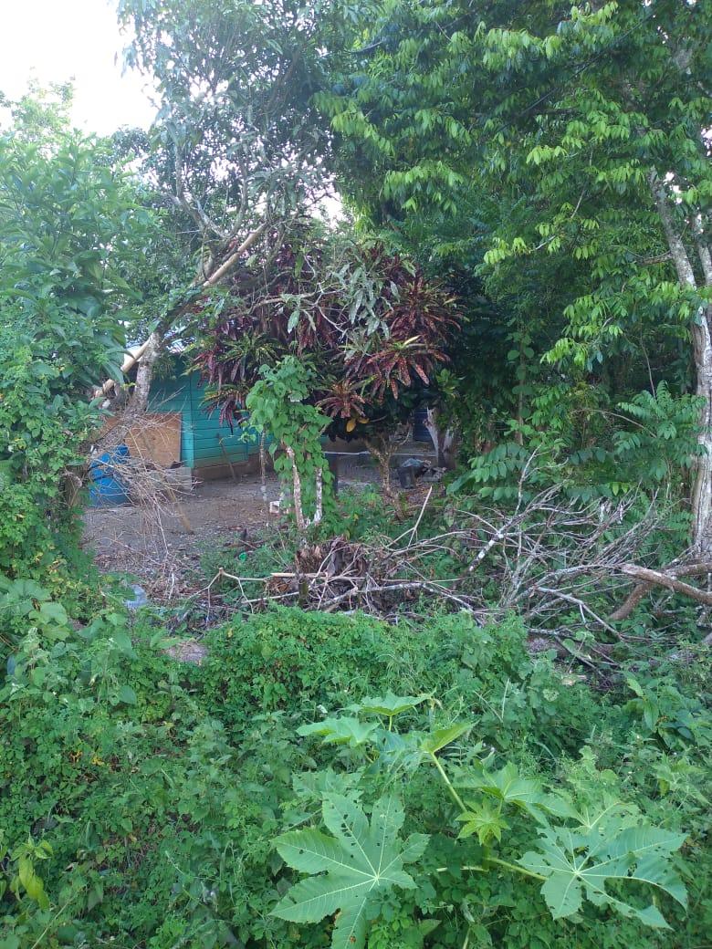 Fifth image of Lot-50 Danvers Pen in Danvers Pen, St. Thomas, Jamaica - property is For Sale