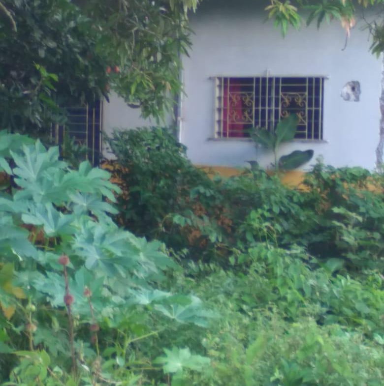 Sixth image of Lot-50 Danvers Pen in Danvers Pen, St. Thomas, Jamaica - property is For Sale