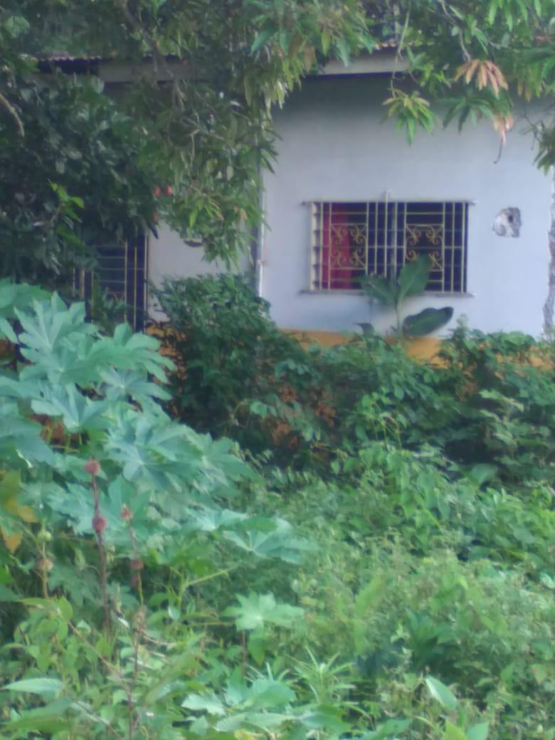 Sixth image of Lot-50 Danvers Pen in Danvers Pen, St. Thomas, Jamaica - property is For Sale