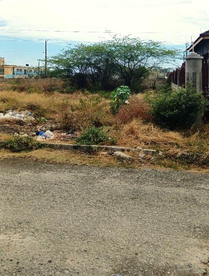 Second image of 385 Albion Estate St. Thomas in Albion Estate, St. Thomas, Jamaica - property is For Sale