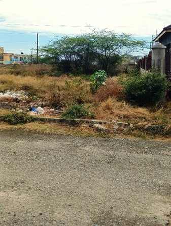 Second image of 385 Albion Estate St. Thomas in Albion Estate, St. Thomas, Jamaica - property is For Sale