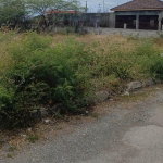 First image of 385 Albion Estate St. Thomas in Albion Estate, St. Thomas, Jamaica - property is For Sale