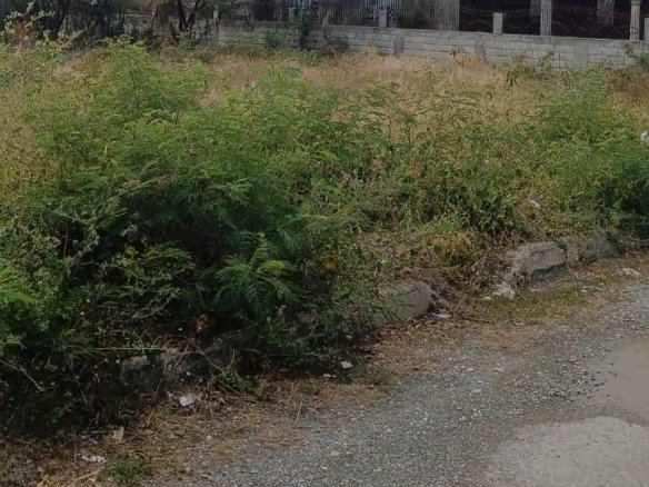 First image of 385 Albion Estate St. Thomas in Albion Estate, St. Thomas, Jamaica - property is For Sale