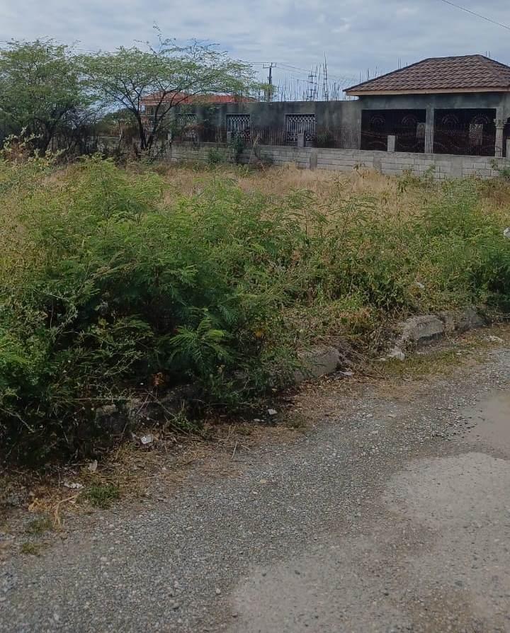 First image of 385 Albion Estate St. Thomas in Albion Estate, St. Thomas, Jamaica - property is For Sale
