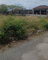 First image of 385 Albion Estate St. Thomas in Albion Estate, St. Thomas, Jamaica - property is For Sale
