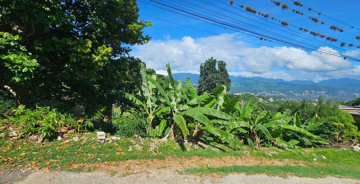 First image of 0 Fowlin Close, Sterling ca in Swain Spring, St. Andrew, Jamaica - property is For Sale