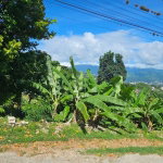 First image of 0 Fowlin Close, Sterling ca in Swain Spring, St. Andrew, Jamaica - property is For Sale