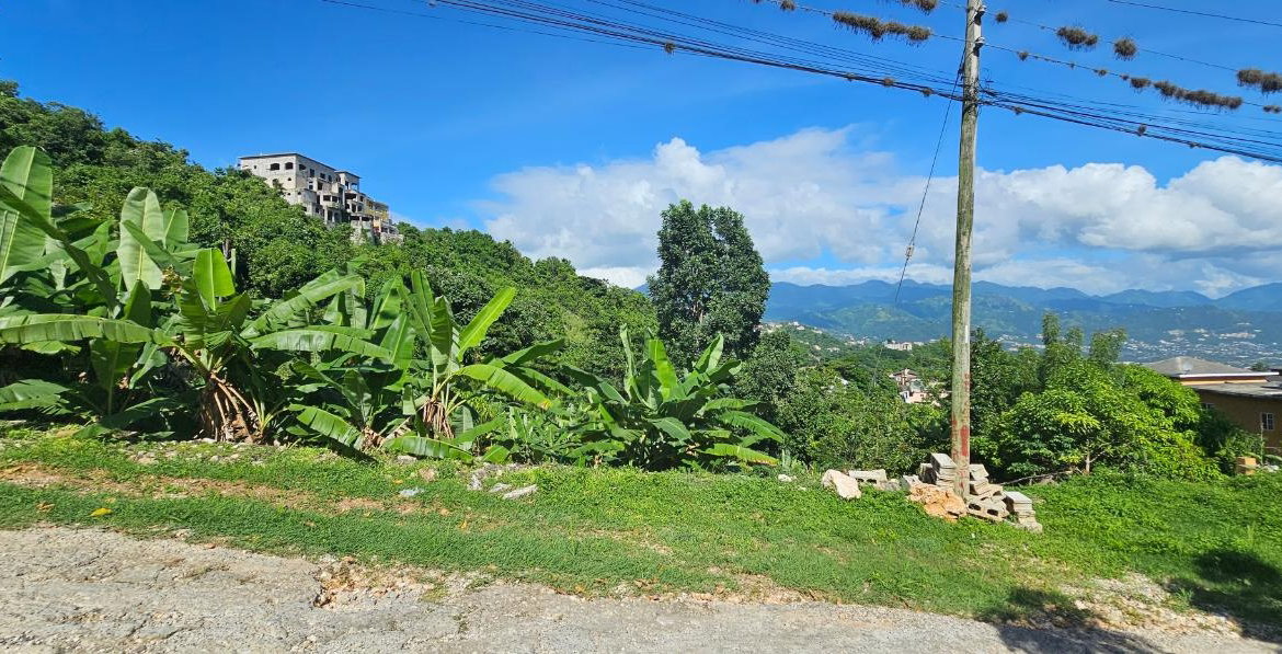 Third image of 0 Fowlin Close, Sterling ca in Swain Spring, St. Andrew, Jamaica - property is For Sale