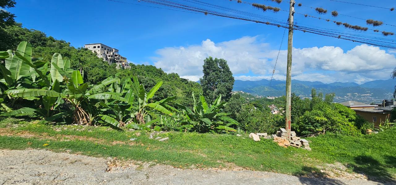 Third image of 0 Fowlin Close, Sterling ca in Swain Spring, St. Andrew, Jamaica - property is For Sale