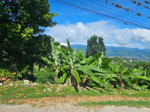 First image of 0 Fowlin Close, Sterling ca in Swain Spring, St. Andrew, Jamaica - property is For Sale