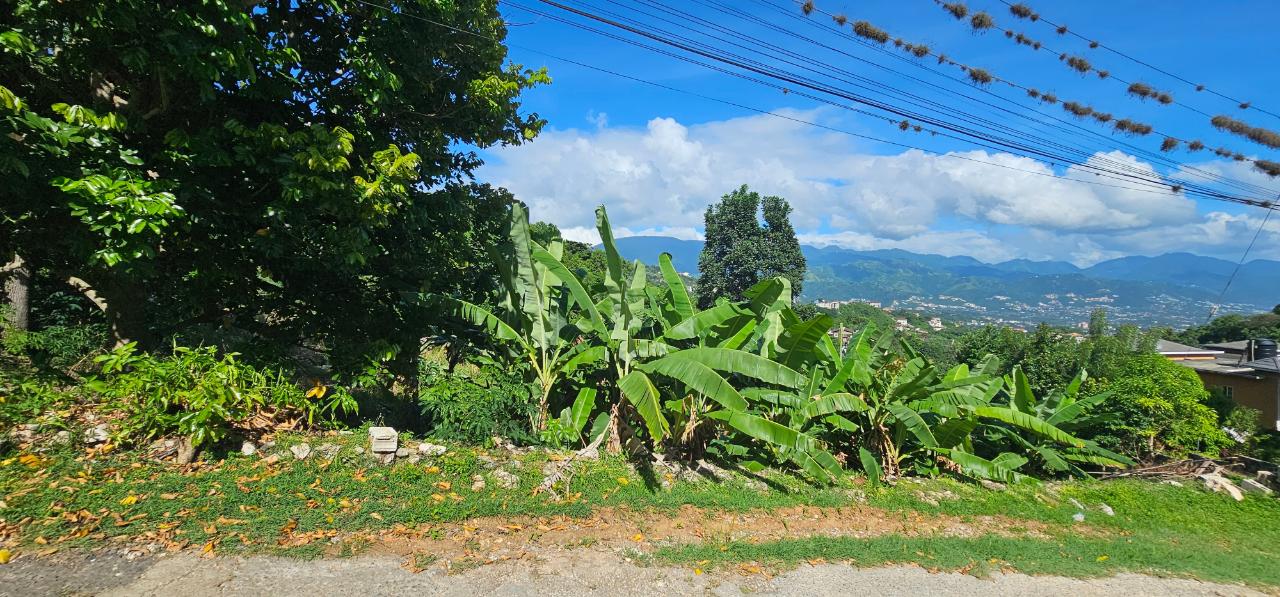 First image of 0 Fowlin Close, Sterling ca in Swain Spring, St. Andrew, Jamaica - property is For Sale
