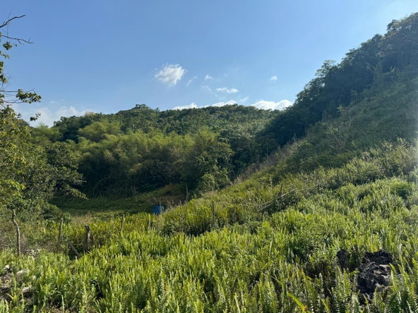 Second image of Success, Golden Grove in Success, Hanover, Jamaica - property is For Sale