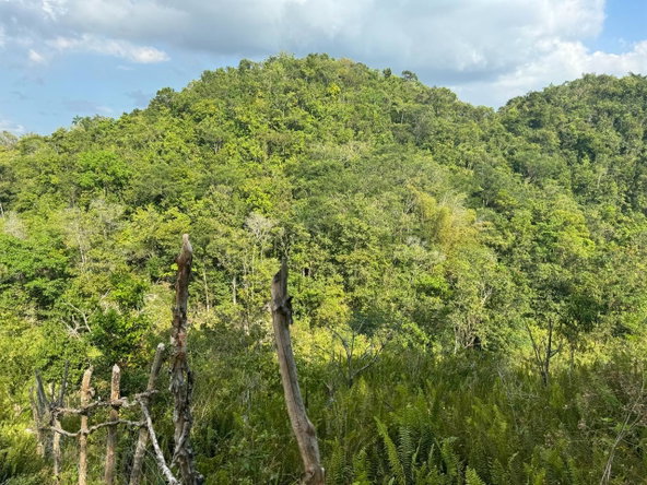 Eleventh image of Success, Golden Grove in Success, Hanover, Jamaica - property is For Sale