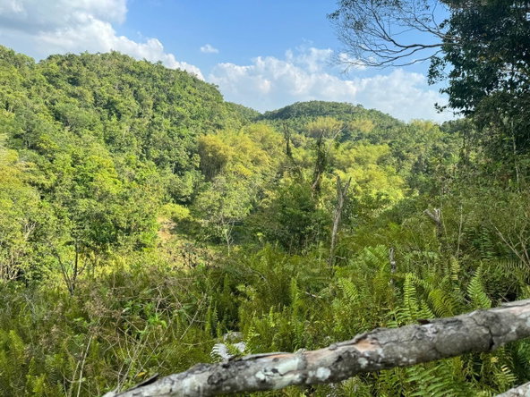 Twelfth image of Success, Golden Grove in Success, Hanover, Jamaica - property is For Sale