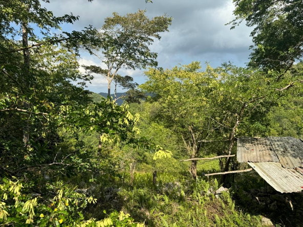 Fourteenth image of Success, Golden Grove in Success, Hanover, Jamaica - property is For Sale