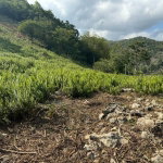 First image of Success, Golden Grove in Success, Hanover, Jamaica - property is For Sale