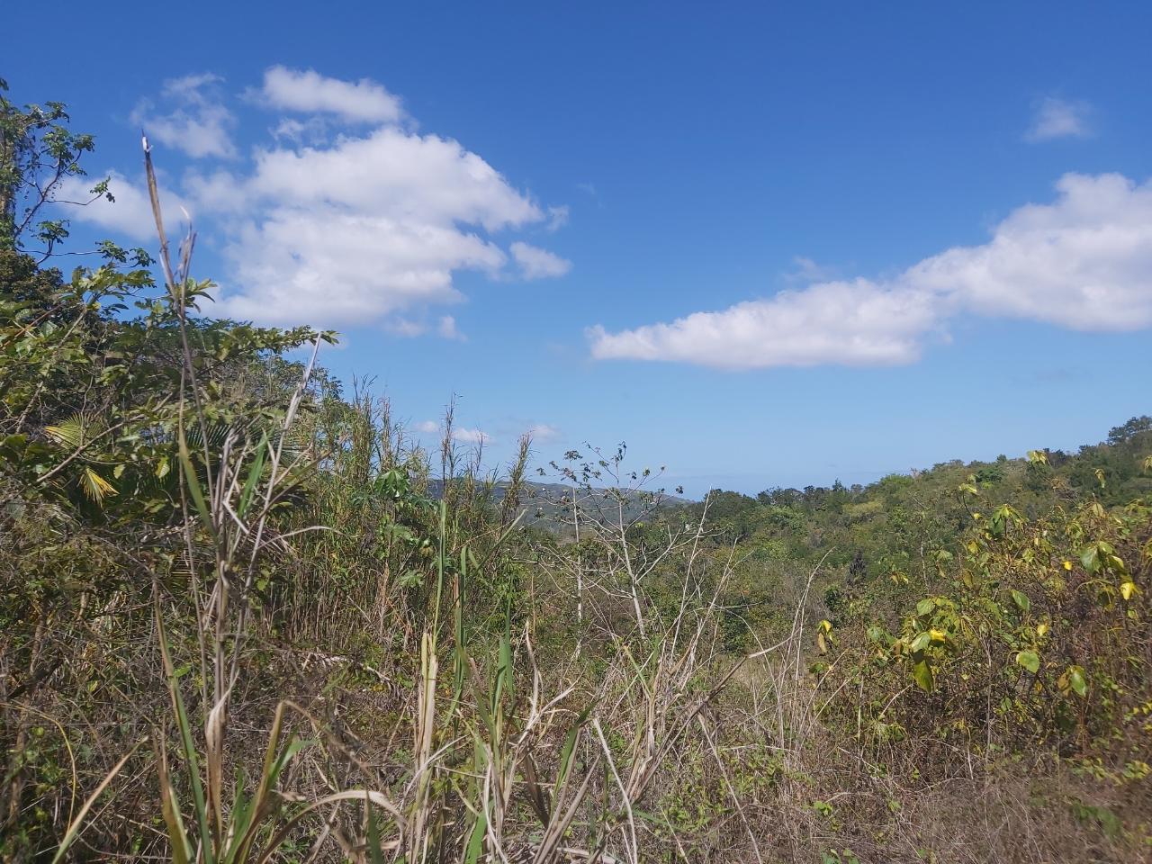 Fourth image of Success, Golden Grove in Success, Hanover, Jamaica - property is For Sale