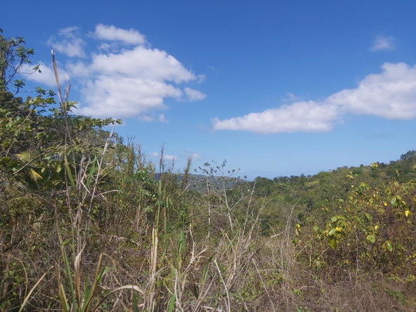 Fourth image of Success, Golden Grove in Success, Hanover, Jamaica - property is For Sale