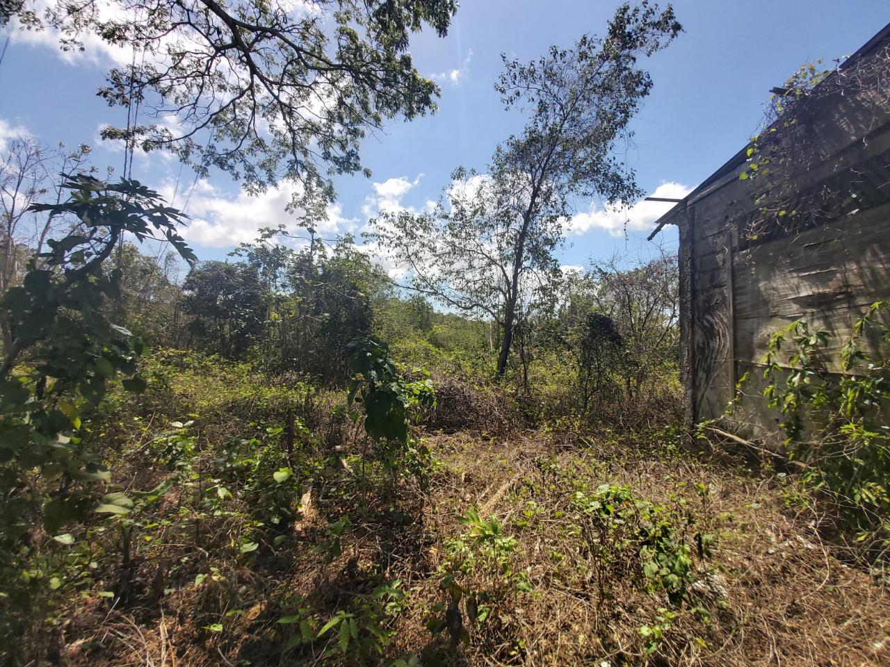 Fifth image of Success, Golden Grove in Success, Hanover, Jamaica - property is For Sale