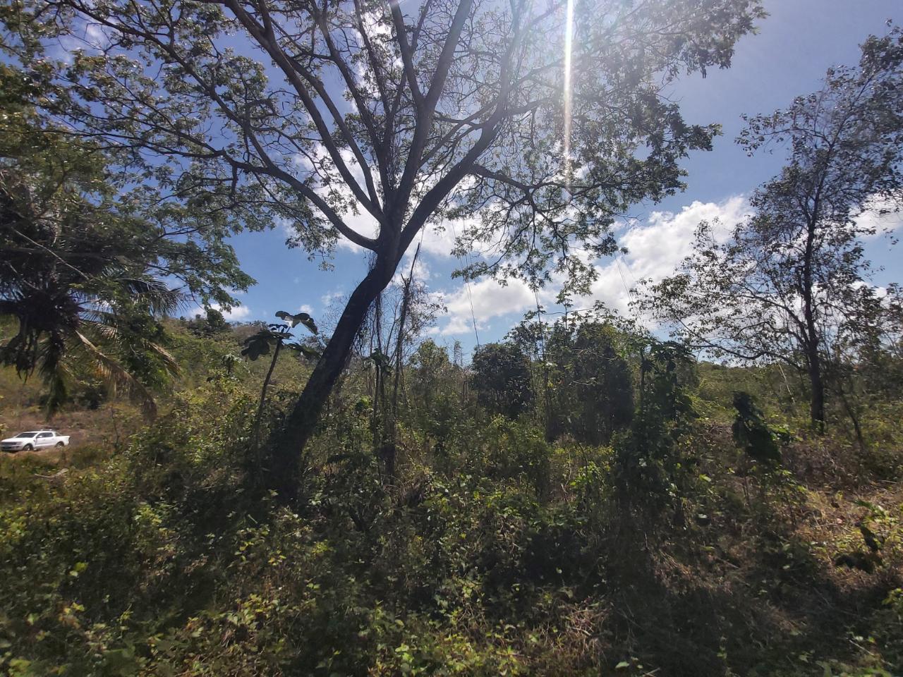 Sixth image of Success, Golden Grove in Success, Hanover, Jamaica - property is For Sale