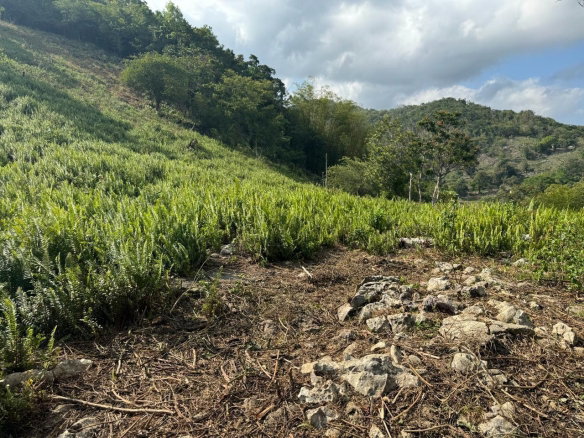 First image of Success, Golden Grove in Success, Hanover, Jamaica - property is For Sale