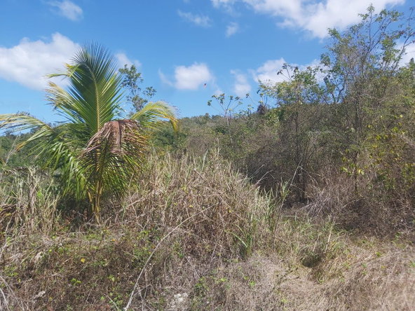 Eighth image of Success, Golden Grove in Success, Hanover, Jamaica - property is For Sale