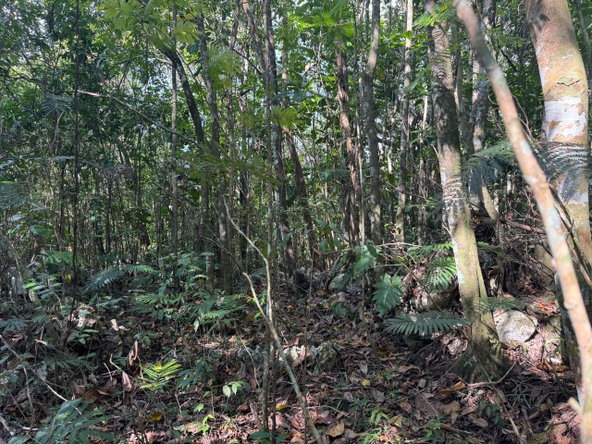 Ninth image of Success, Golden Grove in Success, Hanover, Jamaica - property is For Sale