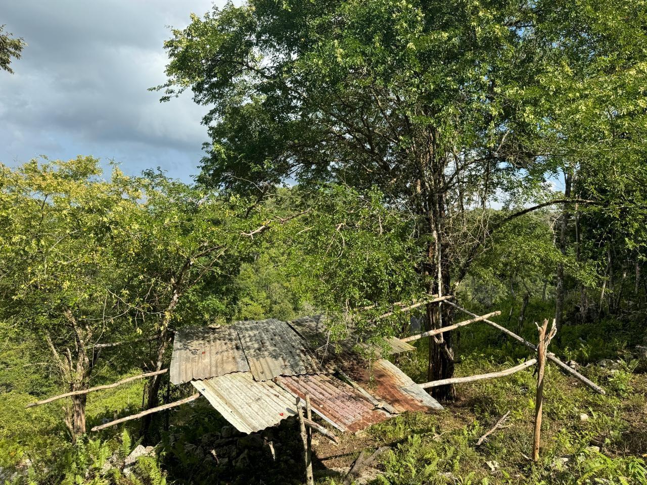 Tenth image of Success, Golden Grove in Success, Hanover, Jamaica - property is For Sale