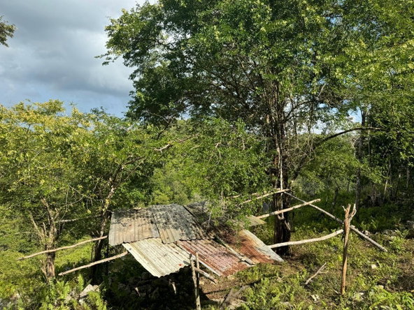 Tenth image of Success, Golden Grove in Success, Hanover, Jamaica - property is For Sale