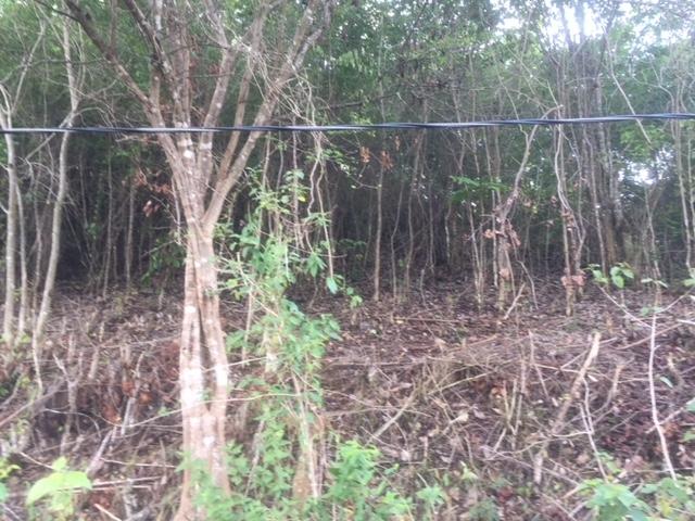 Second image of 48 Suttons Estate, Turners p in Suttons, Clarendon, Jamaica - property is For Sale