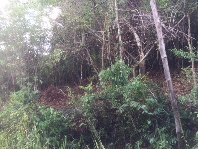 Third image of 48 Suttons Estate, Turners p in Suttons, Clarendon, Jamaica - property is For Sale