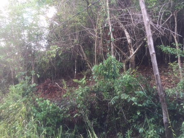 Third image of 48 Suttons Estate, Turners p in Suttons, Clarendon, Jamaica - property is For Sale
