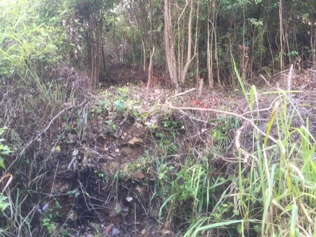Fourth image of 48 Suttons Estate, Turners p in Suttons, Clarendon, Jamaica - property is For Sale