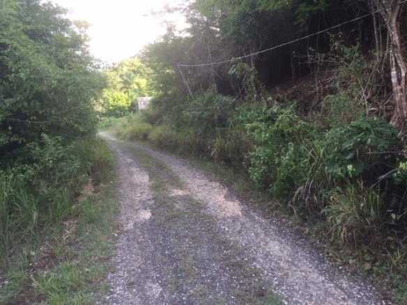 First image of 48 Suttons Estate, Turners p in Suttons, Clarendon, Jamaica - property is For Sale