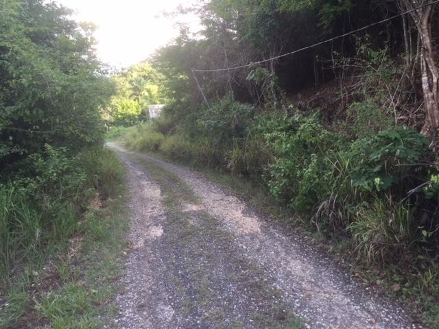 First image of 48 Suttons Estate, Turners p in Suttons, Clarendon, Jamaica - property is For Sale