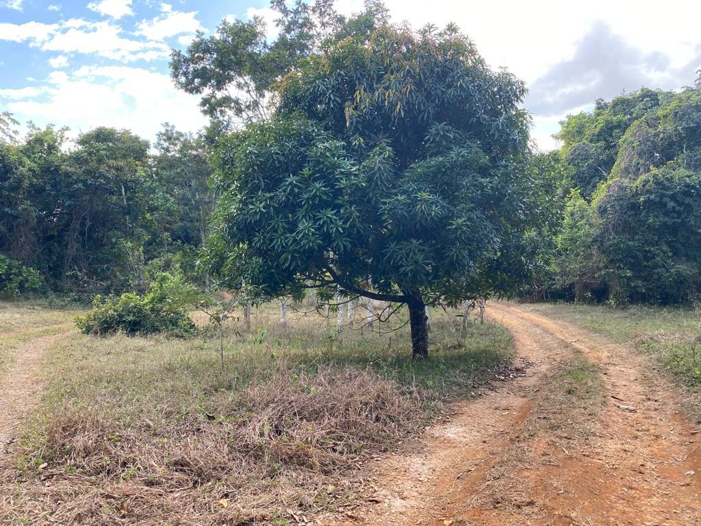 Second image of Threadways, Lindstead in Linstead, St. Catherine, Jamaica - property is For Sale