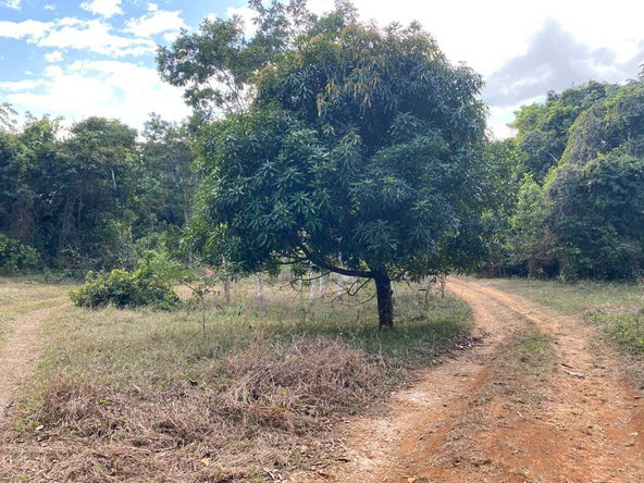 Second image of Threadways, Lindstead in Linstead, St. Catherine, Jamaica - property is For Sale