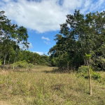 First image of Threadways, Lindstead in Linstead, St. Catherine, Jamaica - property is For Sale