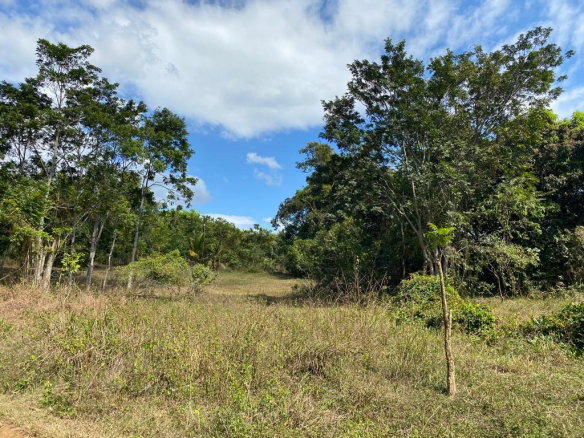 First image of Threadways, Lindstead in Linstead, St. Catherine, Jamaica - property is For Sale