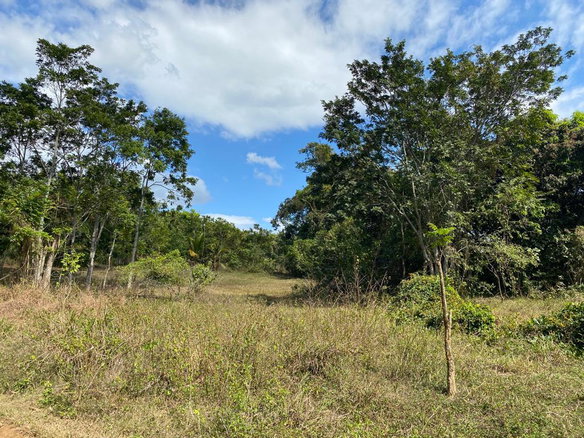 First image of Threadways, Lindstead in Linstead, St. Catherine, Jamaica - property is For Sale