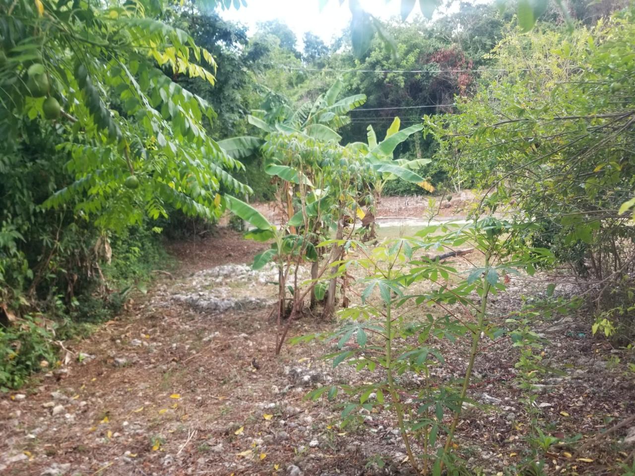 Second image of 28- Old Sugar Hill Road in Ironshore, St. James, Jamaica - property is For Sale
