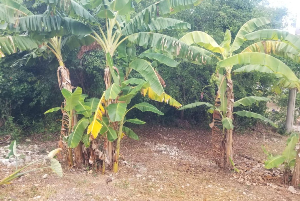 Third image of 28- Old Sugar Hill Road in Ironshore, St. James, Jamaica - property is For Sale