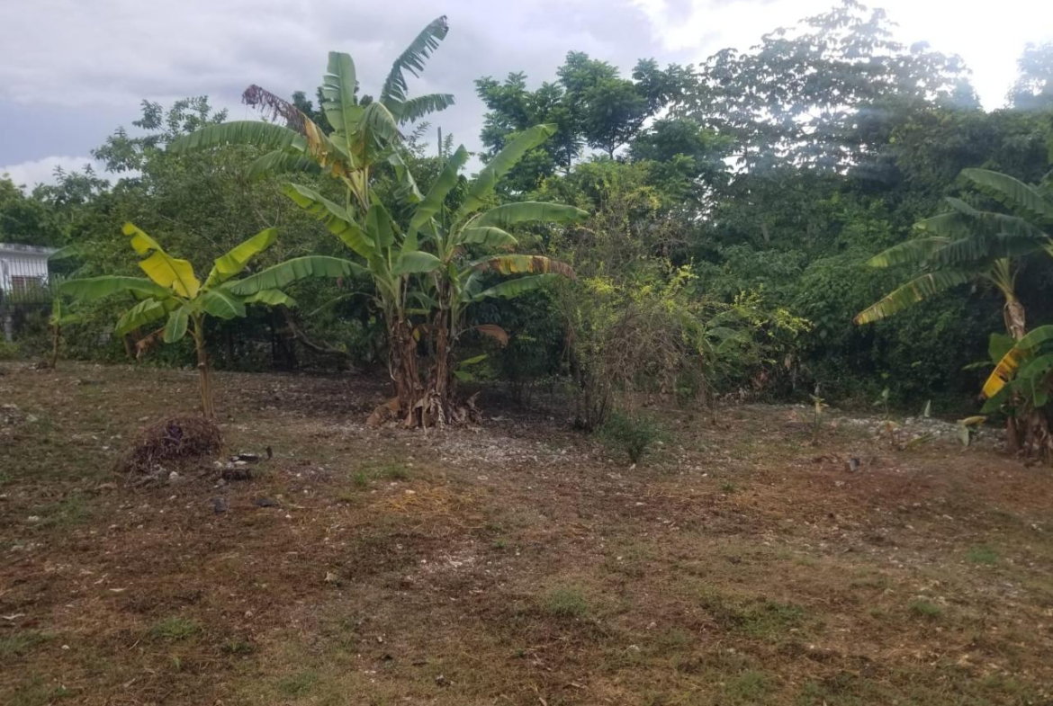Sixth image of 28- Old Sugar Hill Road in Ironshore, St. James, Jamaica - property is For Sale